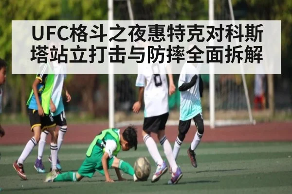 UFC格斗之夜惠特克对科斯塔站立打击与防摔全面拆解
